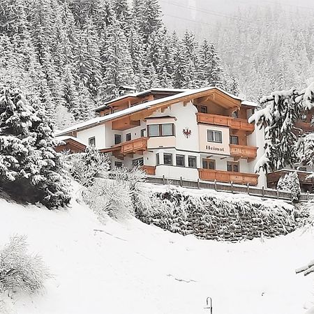 Heimat Apartments - Zillertal 盖洛斯 外观 照片